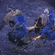 Image for article titled Star Trek: "Catspaw" / "I, Mudd"